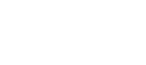 DigiZenith Logo